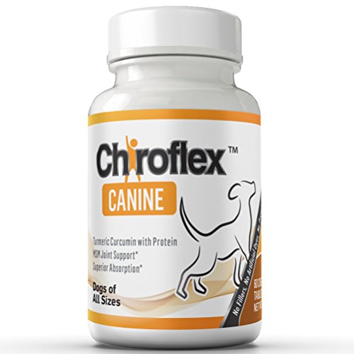 Chiroflex Canine Turmeric Curcumin plus MSM & Calcium Carbonate Tablets