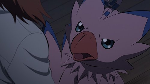 Digimon Adventure tri. Chapter 4 Lost DVD para maratón de animación japonesa 5