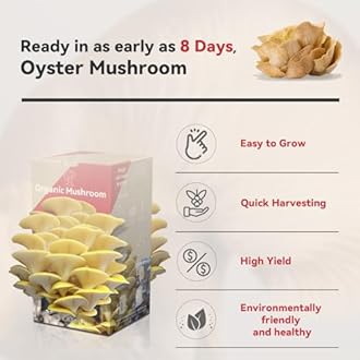 inbloom Organic Golden Oyster Mushroom Growing Kit with Spray, Harvest Fresh Mushrooms at Home, Beginner Friendly & Easy to Use, Unique Gardening Gift for Holiday, Handmade in New Jersey, USA