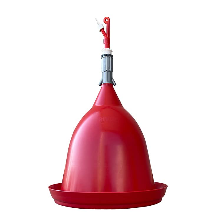 Abbeveratoio automatico a campana con cavalletta piccola per avicoli leggeri - River Systems - in plastica di ottima qualità