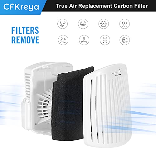 Filtre à charbon actif compatible Hamilton Beach Trueair 04531GM 04384