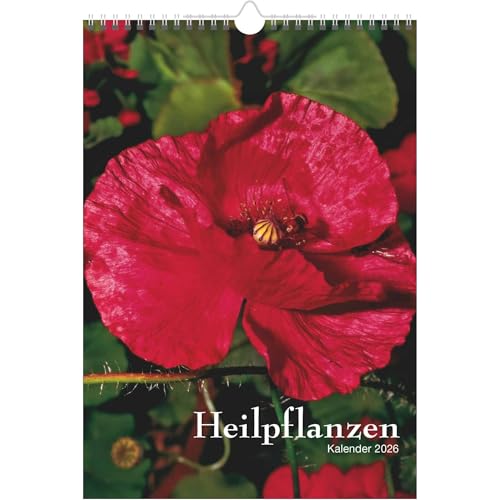 ABC Heilpflanzen - Kalender 2026