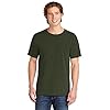 Comfort Colors Adult Short Sleeve T...