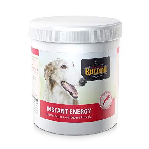 BELCANDO Instant Energy [500 g] | Energieversorgung für Hunde in Wettkampfbedingungen | Ergänzungsfutter für Hunde