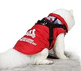 Con un arnés con hebillas para enganchar fácilmente la correa del perro, cómodo para pasear.