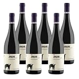 San Salvatore 1988 Vino Rosso Jungano | IGP Paestum Aglianico Campania | Confezione da 6 Bottiglie da 750ml