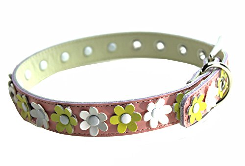 [HERBE] Č VoCk EFVER[M[Eyu[N Ԕ̎ {v   TCY\ łBsN