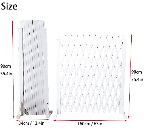 Solution de décoration de jardin rétractable contre le vis-à-vis - 3