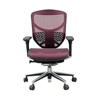 Amazon.co.jp: 【旧型】 エルゴヒューマン エンジョイ オフィス