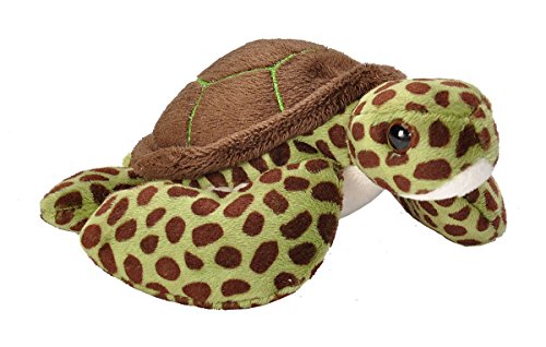 Wild Republic - CK Lil's Peluche Tortuga Marina, 15 cm (18111)