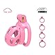 B1 Pink Chastity Cage Male mit 4 Cock Rings und Belt Klein Belüftung Peniskäfig Keuschheitskäfig Herren Set Extrem SM Penis Bondage Keuschheit Sexspielzeug für Männer (micro,Pink)