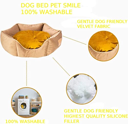 Image of PetLux Velvet Pet Smile Super Soft Reversible Bed for Indoor Cats, Dog Bed for Puppy and Kitty Round Bed, Sofa Basket for a Dog & Cat | Pet Bed with Pillow (XL, Golden)