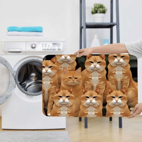 Tapis de bain antidérapant microfibre absorbante en U motif chats