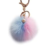 Bestpriceam Rabbit Fur Ball Keychain Bag Plush Car Key Ring Car Key Pendant (F)