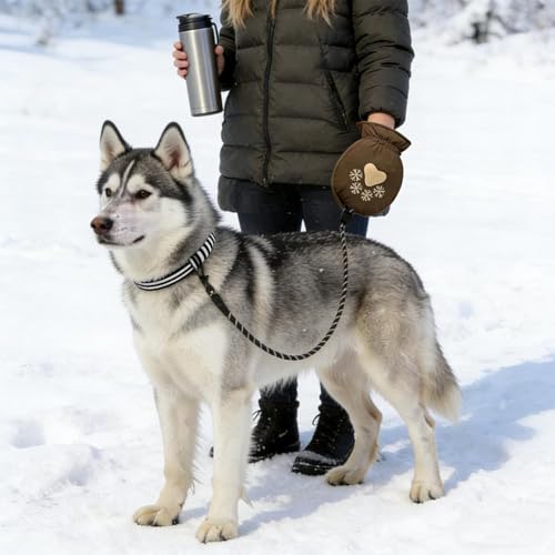 Laisse pour chiens résistante au vent, idéale pour la randonnée et le quotidien extérieur