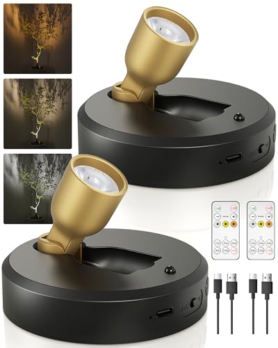 EZVALO Spotlight Indoor with Remote 4000mAh Rechargeable Plant Spot Lights Indoor Wireless Mini Uplights with Dimmable & 3-CCT Timer Accent Lighting for Pictures Artwork Displays (2-Pack)