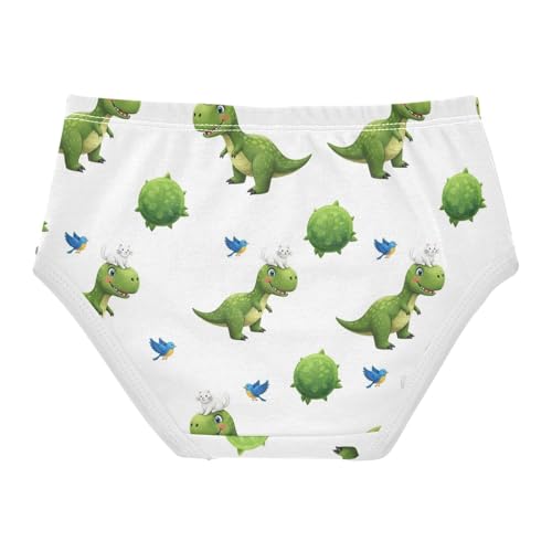 Joisal Funny Dinosaur Cats Birds Girl Panties Cute Toddlers Underwear Floral Cotton Pattern Underpants Briefs 2t2