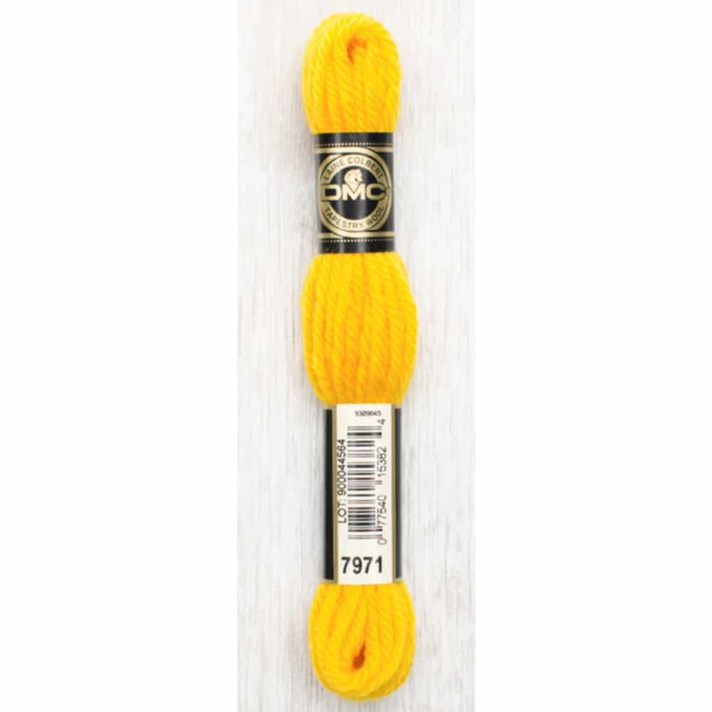 Dmc Light/Yellow/Orange Tapestry & Embroidery Wool 8.8Yd