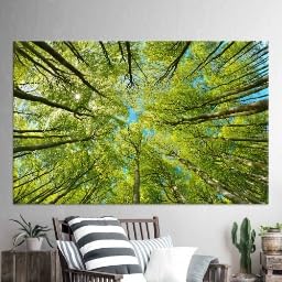 Canopée forestière déco nature pour grand salon lumineux champêtre