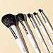 PÜR MINERALS x CARE 5-Piece Makeup Brush Set with Holder Case - Professional Quality Makeup Brushes Includes Blush, Powder, Eyeshadow Base, Eyeshadow Blending, and Eyeshadow Crease Brushes