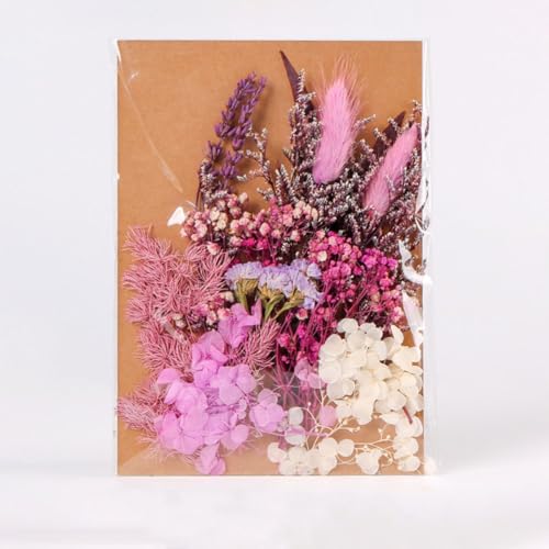 Paquete de Flores Secas Naturales para Manualidades miniatura 7