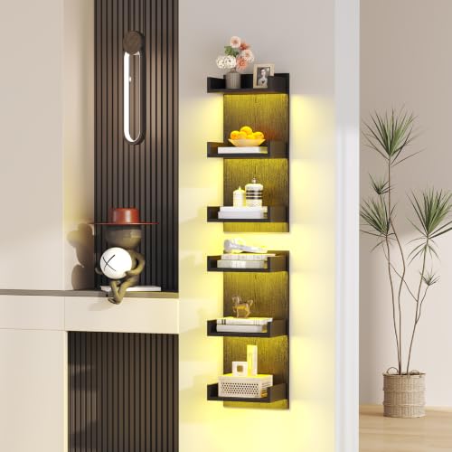 Image of HOOBRO Floating Wall Shelves with LED Lights, Floating Shelf Wall Mounted | Shelf for Storage, Vertical Display Stand, Modern Column Rack, for Bedroom, Livingroom, 3-Tier, 25.6 Inches, Black BK43DBJ01