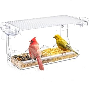 Großes Fenster Futterhaus für Vögel 24.5x10x14cm(LxWxH), Vogelhaus mit Vogeltränke, Transparent Abnehmbar Vogelfutterspender mit 2 Zellen, für kleine Wildvögel