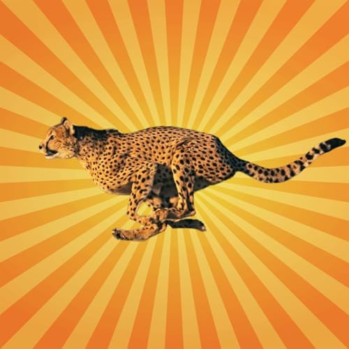 Couverture de Le guépard a des choses à dire !