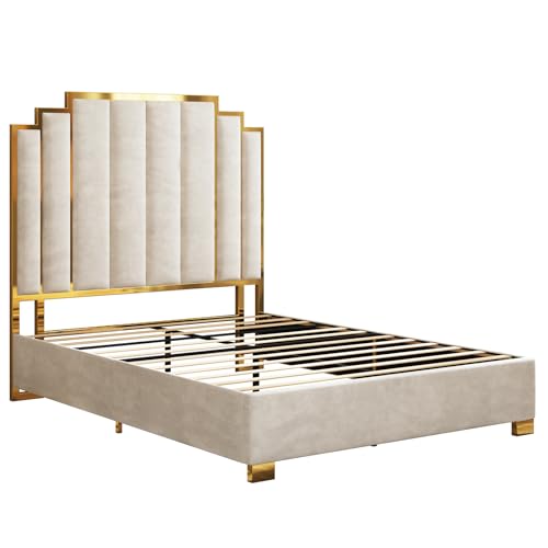 Image of AMERLIFE Queen Size Upholstered Bed, Modern Velvet Bed Frame with 61.4 inch Tall Gold Trim Headboard, No Box Spring Needed, Cream