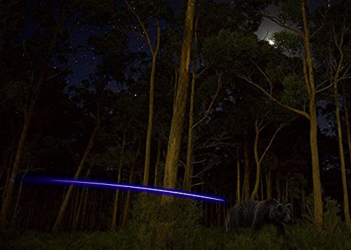 Deepower X Lighted Nocks For Arrows .204”/.233”/.244”/.246” With On/Off Switch 4-Pack With H, S, Gt Bushings #TOP4