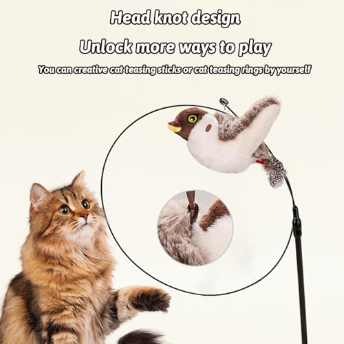 Juguete interactivo para gatos con sonido de pájaro y carga USB 5
