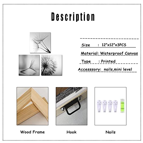Tiuauit 3 Pieces Black And White Canvas Wall Art Small Size Dandelion Picture Framed Artwork Flower Painting Prints For Kitchen Bedroom Living Room 12"X12"X3Pcs #TOP4