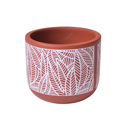 Fine Living 4 Inch Terracotta Pot with White Leaf Pattern Succulent Planter