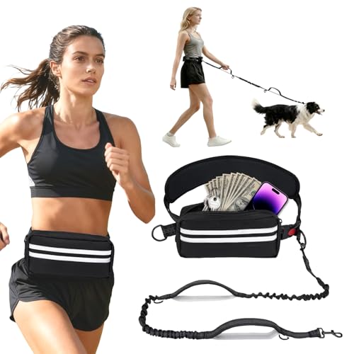 Laisse de jogging pour chien - Laisse mains libres - Avec sangle ventrale - Laisse pour chien de course avec ceinture abdominale - Coutures réfléchissantes -...