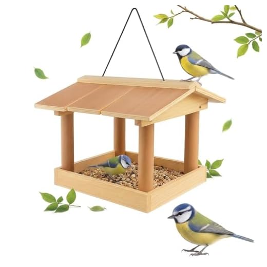 Hanging Bird Feeder for Outdoors – Large Capacity Birdfeeders for Outside Hanging; Weatherproof Feeder for Small Birds; Cute Decorative Garden Bird House Feeder; Patio Compatible