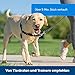 PetSafe Easy Walk-Geschirr, Anti-Zieh-Hundegeschirr, Verringert Würgen und Husten, Mit 1,8 M Leine, Größe XL, Schwarz