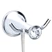 Alise G2110 Bathroom Double Robe Hook with Crystal Decoration Head Wall Mount,Stainless Steel Polished Chrome