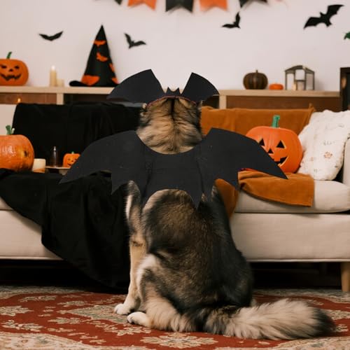 Disfraz de alas de murciélago para perros Halloween miniatura 3