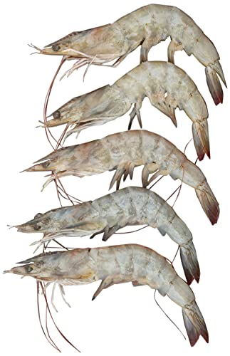 Fresh Farmed Prawns - 30/40-500 g Approx. - Whole Cleaned