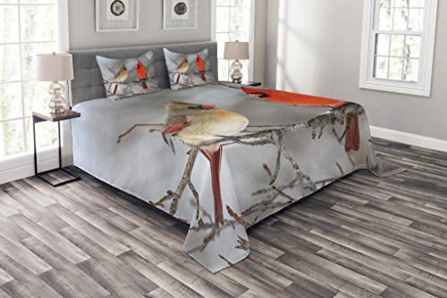Lunarable Bird Bedspread, Pair of Northern Cardinal Birds on a Tree Ornithology Avian Wildlife Fauna, Decorative Quilted 3 Piece Coverlet Set with 2 Pillow Shams, Queen Size, Vermilion Beige
