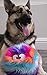 goDog Furballz Squeaky Plush Ball Dog Toy, Chew Guard Technology - Cool Rainbow, Large