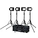 Ikan IDK4312-V2 312 Lighting Kit (Black)