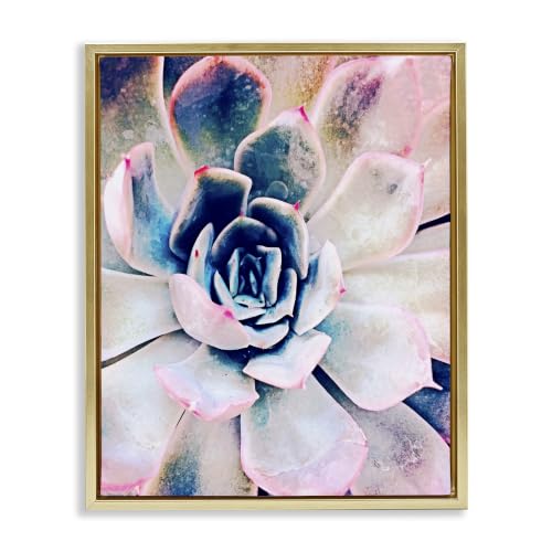 Stupell Industries 'Modern Succulent Plant View'| Floating Frame Canvas Art