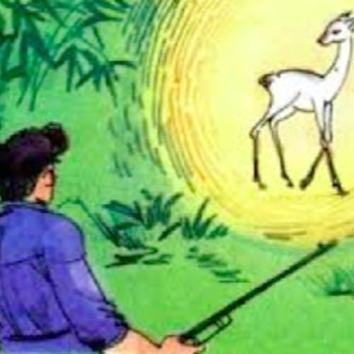 "Muối của rừng": Bản chất thuần ph&aacute;c, đẹp đẽ của thi&ecirc;n nhi&ecirc;n v&agrave; con người