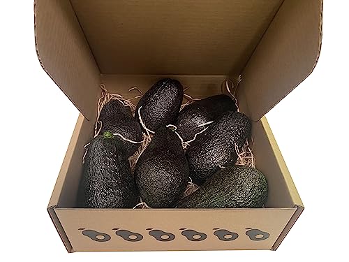 Frutas y verduras frescas | Aguacate Lamb Hass, Caja De 2kg., De 7 A 9 Piezas, Sin Tratamientos Químicos, Cosecha Propia. Se Recolectan El Día Del Envío.