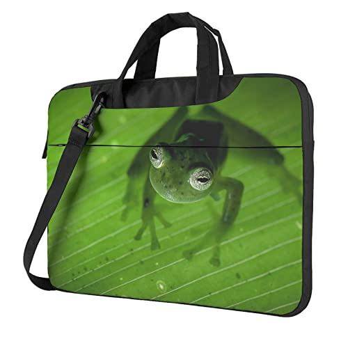 13/14/15/15.6C` m[gp\RP[X Ռz PCP[X p\RobO rWlXu[tP[X V_[obO bvgbv یP[X 񂰃Jo p\R΂ t @\ ʋ ʊw A o s jpi