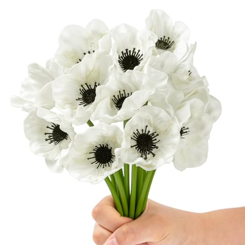 GCTWFYK White Anemones