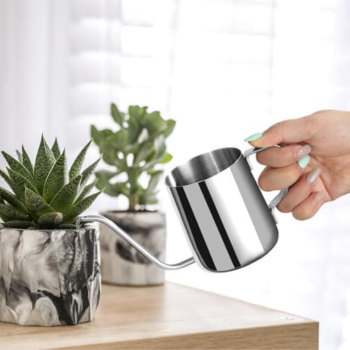 Roamall Small Watering Can for Indoor Plants - 12 oz Mini Indoor Watering Can with Long Spout Gooseneck Rust-Proof Stainless Steel Tiny Watering Kettle for Small House Plants