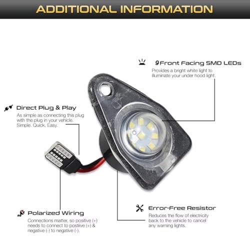 Luz de matrícula eficiente para Expedition Freestar y Freestyle 5