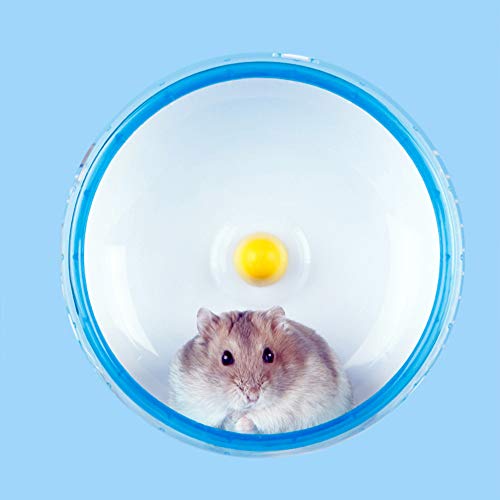DZL- Rueda de plástico para hámster Rueda para cobayas, Rueda Hamster Silent Running Rodillo Ejercicio Juguete de Ruedas for Mascotas pequeñas hámster Color Aleatorio(Rueda14CM) Cover